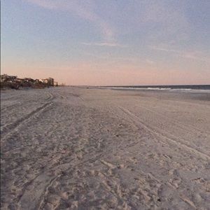 Meet your Posher, Molly